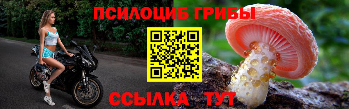 Галлюциногенные грибы Psilocybine cubensis  Галлюциногенные грибы Psilocybe  Вход с VPN  Полысаево 
